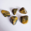 Orbicular Jasper - The 889 Shop