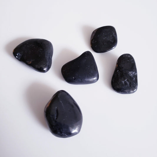 Shungite - The 889 Shop