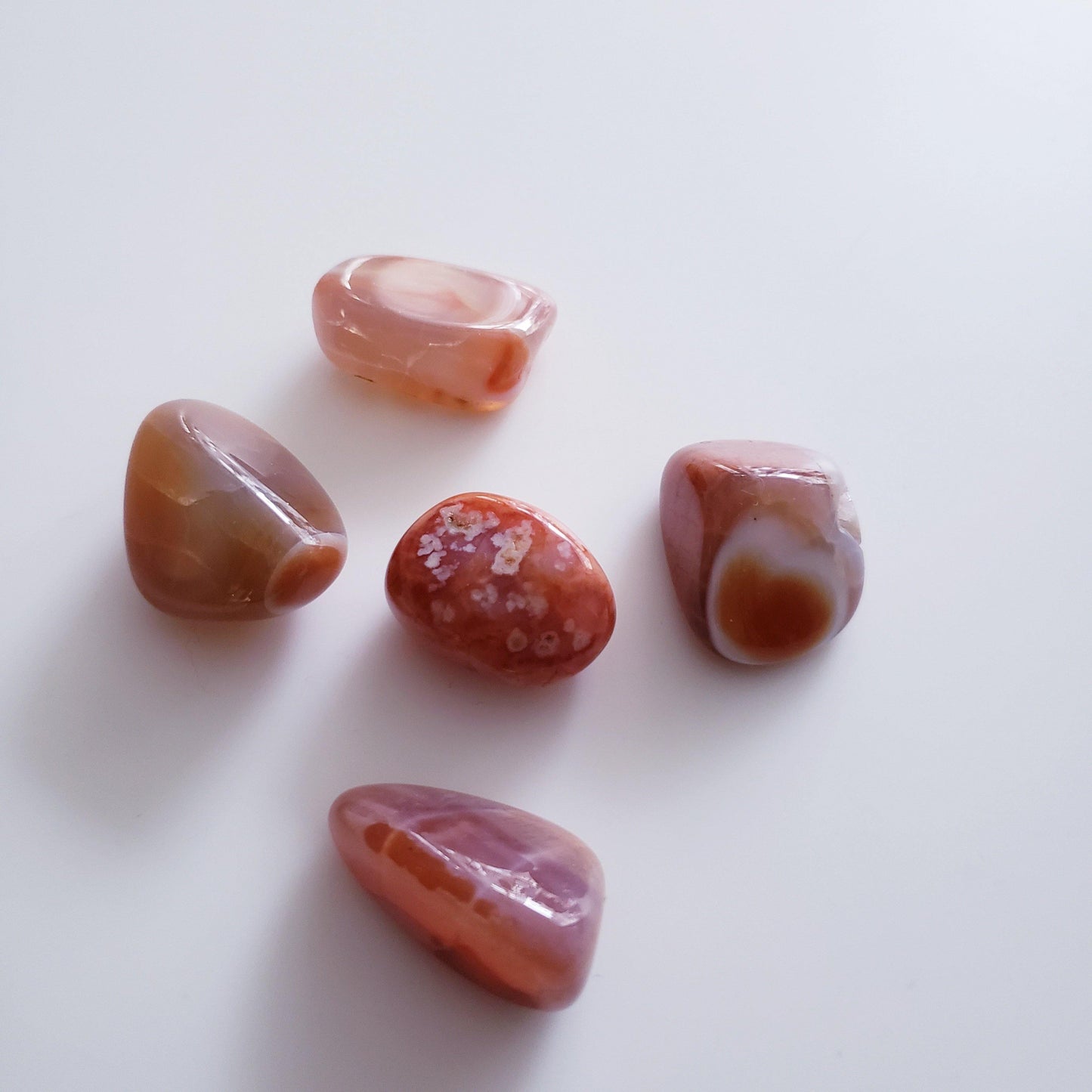 Snakeskin Agate - The 889 Shop