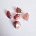 Snakeskin Agate - The 889 Shop