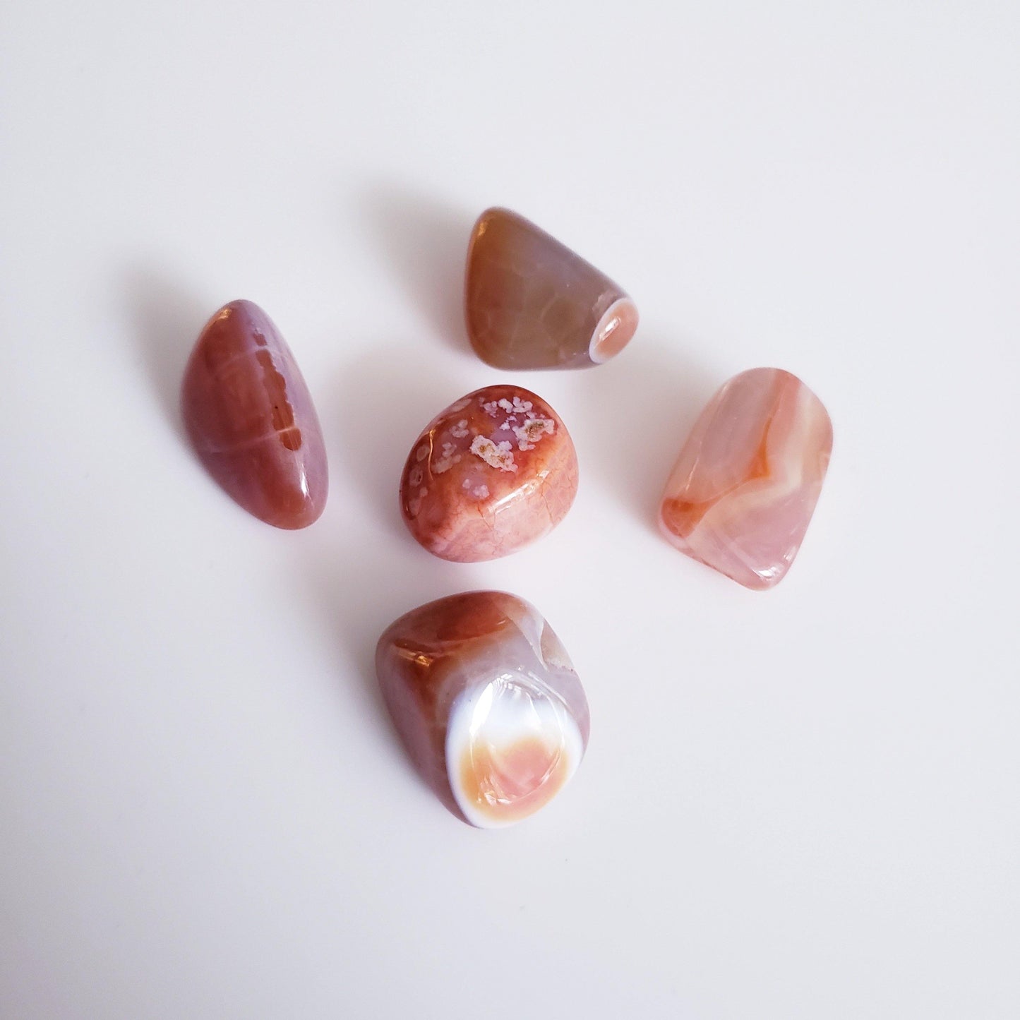 Snakeskin Agate - The 889 Shop