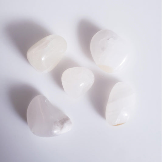 White Aragonite - The 889 Shop